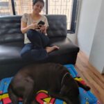 Ankita Bhargava Patel Instagram - Bring Your Son To Office Days Are The Best 🐶🐕‍🦺🐾❤️😍