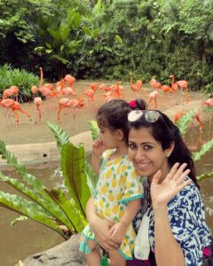 Ankita Bhargava Patel Instagram - Hi from Singapore 🇸🇬

I dont have much time on hand on this particular holiday to keep u guys posted with lots of stories!
But I promise that once Im back I will share my experience and fun things to do with a toddler in Singapore !

Until then leaving U all with this beautiful sight !

Mehr loves Flamingos 
🦩🦩🦩🦩🦩🦩🦩🦩🦩