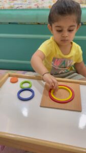 Ankita Bhargava Patel Instagram - I feel a simple size variation montessori toy like this is a small seed that I am sowing today that will eventually grow into a child/adult who uses logic to solve big/small problems in life!

🤞