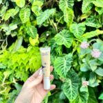 Arishfa Khan Instagram - LOOK GOOD FEEL GOOD🌸🌿 Mishy Me ⭐️ BB Cream is perfect for people across all age groups and for all skin types, this unisex 👫🏼 product is designed to make skincare affordable and available to everyone✨ Benefit of Mishy Me BB Cream.❤️ 1: Instant Brightness 2: Sun Protection 3: Evens out skin tone 4: Makes you look great on Camera.🤩 And all you budding creators out there..this is the best product for you all. Look amazing in your reels and photo shoots.🪄 Get yours now in just 180/- rupees from www.Mishy.me or #amazon 🫶🏻 #MishyMe #realisrare #arishfakhan #lookgoodfeelgood #alwaysmishyme #mishymebbcream #bbcream #mishymebyarishfakhan #sulpatefree #parabenfree #beauty #makeup Gardens by the Bay