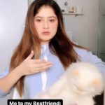 Arishfa Khan Instagram - Apne dhokebaaz doston ko tag karo!😢🥺 My cuteheart *MAU* @arishfa.petsss 💗 #arishfakhan #relatable #comedy #funny #reels #reelsinstagram #reelitfeelit