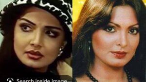 Deepshikha Nagpal Instagram - Happy birthday to my fav #parveenbabi .
.
You were the best. ❤️.
.
.
#happybirthday #missyou #🙏 #bollywoodactor