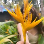 Lopamudra Raut Instagram - This is for you🌷 @geishadesigns @limerickofficial @mahekksutaria @styledbynikinagda #manikemagehithe #reels #travel #goa #video #happy #sunday