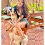 Lopamudra Raut Instagram - Puppy eyes 🐶🥺🐾❤️🥰 @thepatiogoa #goa #travel #puppylove
