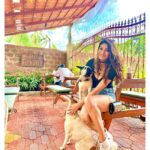 Lopamudra Raut Instagram - Puppy eyes 🐶🥺🐾❤️🥰 @thepatiogoa #goa #travel #puppylove