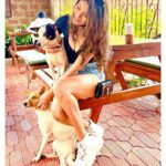 Lopamudra Raut Instagram - Puppy eyes 🐶🥺🐾❤️🥰 @thepatiogoa #goa #travel #puppylove