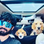 Mahat Raghavendra Instagram - It’s a longgg drive!!!! My babies @coco_pluto_m 😘❤️