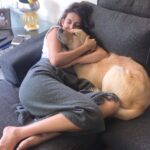 Mandana Karimi Instagram - Mood 🥰 today ...everyday #quarantine #partner #puppylove 🐶