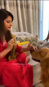 Megha Dhade Instagram - घेऊन आलो आहोत मेघाचा हा Pawsome विडिओ! ❤️🐶

#RajshriMarathi #reels #reelitfeelit