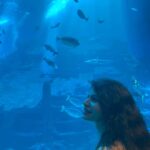 Megha Dhade Instagram – major missing this beauty ❤️ Sentosa Island Singapore