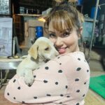 Munmun Dutta Instagram - Oh these little cuties 🐶 😘😘😘 . . #puppygram #cutiesonset #munmundutta #picturesoftheday #love
