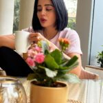 Neha Pendse Instagram - Mera wala Sunday !! Taj Wellington Mews