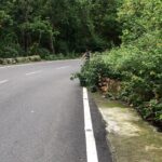 Raghav Juyal Instagram - 32 km cycling yesterday , 15 km uphill continuous , or downhill mein to pucho mat kitna maza aata hai , uff Dehradun, देहरादून, Uttarakhand, India