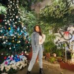 Roshmi Banik Instagram - “Meet me under the mistletoe.” #sleigh . . . #christmas2022 #christmas #holiday #lights #happiness #winters #fav