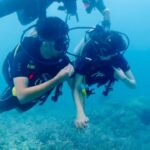 Sana Sayyad Instagram - For my humsafar ❤️ Phi Phi National Marine Park