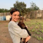 Sanaya Irani Instagram - Meet barfiiiii sweeter than a barfi ❤️❤️🥰🥰.