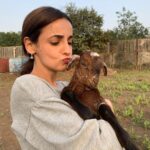 Sanaya Irani Instagram - Meet barfiiiii sweeter than a barfi ❤️❤️🥰🥰.