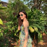 Sanaya Irani Instagram - A walk in the nature walks the soul back home 🌳 🌳❤️❤️. @caboserai I miss the green.