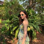 Sanaya Irani Instagram - A walk in the nature walks the soul back home 🌳 🌳❤️❤️. @caboserai I miss the green.