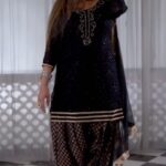 Sapna Choudhary Instagram -