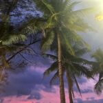 Sara Gurpal Instagram - #throwbackthursday Story of A Day🏝️🥹🤍