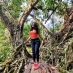Shenaz Treasurywala Instagram - jab we met jaane tu band baaja barat barfi devdaas devd Kal Ho Na Ho or some other Here's a beautiful love story of a Man from South India and a woman from the North East and how their love led to the discovery of the Natural Root Bridges of Meghalaya. These bridges are completely natural. They are formed by living roots of trees by tree shaping. They take 15-20 years to build. Most of Meghalaya's many living root bridges are located near Cherrapunjee The bridges were discovered by Denis Rayen, who, along with his wife, Carmela, started the Cherrapunjee Holiday Resort. Dennis Rayen is as much in love with about the Cherrapunjee area as he is with his wife and he put the living root bridges on the map as tourist sights. These bridges are now world famous because of this. Dennis told me- Ordinary bridges would rot under the the heavy rain of Cherrapunjee, but the living root bridges just get stronger as they get older. @cherraresort #lovestory #doubledeckerbridge @janelovestowander #cherrapunji #Northeastindia