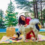 Shenaz Treasurywala Instagram - Most luxurious home stay in Himachal so far is this one @kudratboutiquehomestay. Stunning views Fire place Warm electric blankets Even their bathroom tiles and curtains are so tasteful. I loved morning walks to the mountain forests from here.. Can't wait to take my parents and go back next summer!!!! Sudhir and Bhawana you were such great hosts ❤️ I miss your food Bhawan !!! Give my love to Kudrat and Bullbull I miss her!!! The daily wagers in travel (tour guides, drivers, porters, etc) are helpless because they are usually not on salaries - they do work to make money StandWithTravel is a crowdfunding initiative where contribution made by travellers who care will reach these daily wagers to give them cash to survive today And they are more than happy to host the contributors in the future for trips with them. Support today - Your payment goes to a local travel business in a region of your choice. This cash will help them survive and support the local drivers, guides, porters, etc. Travel tomorrow - Redeem your contribution in the future and travel with the same small business you Supported. This has unlimited validity, so travel when you feel safe. LINK IN BIO @mgmotorin #MGMotorIndia #MorrisGaragesIndia #MGHector @standwithtravel #standwithtravel #GoPro #goproindia @goproindia #shenazgopro #travelwithshenaz #travelhotelsmiles #mygreatindianroadtrip
