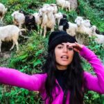 Shenaz Treasurywala Instagram - How do I call out to you? Attention please: The daily wagers in travel (tour guides, drivers, porters, etc) are helpless because they are usually not on salaries - they do work to make money StandWithTravel is a crowdfunding initiative where contribution made by travellers who care will reach these daily wagers to give them cash to survive today And they are more than happy to host the contributors in the future for trips with them. Support today - Your payment goes to a local travel business in a region of your choice. This cash will help them survive and support the local drivers, guides, porters, etc. Travel tomorrow - Redeem your contribution in the future and travel with the same small business you Supported. This has unlimited validity, so travel when you feel safe. LINK IN BIO @mgmotorin #MGMotorIndia #MorrisGaragesIndia #MGHector @standwithtravel #standwithtravel #GoPro #goproindia @goproindia #shenazgopro #travelwithshenaz #travelhotelsmiles #mygreatindianroadtrip