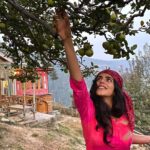 Shenaz Treasurywala Instagram - If you could pick money, good friends, amazing health or a passionate love from a tree which one would you pick? Right now I’m happy picking apples 🍏 off @meenabaghhomes orchid 🌳 thanks Sanjay for a lovely time and for taking these great pictures, hope to be back soon!!! I’m enjoying all my home stays in Himachal ❤️🙏🏾 making good friends - I think that’s my pick. #standwithtravel @standwithtravel