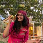 Shenaz Treasurywala Instagram - If you could pick money, good friends, amazing health or a passionate love from a tree which one would you pick? Right now I’m happy picking apples 🍏 off @meenabaghhomes orchid 🌳 thanks Sanjay for a lovely time and for taking these great pictures, hope to be back soon!!! I’m enjoying all my home stays in Himachal ❤️🙏🏾 making good friends - I think that’s my pick. #standwithtravel @standwithtravel