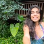 Shenaz Treasurywala Instagram - Would you like to stay in this eco friendly wooden cabin in the forests of Goa? Also what is that plant called? @mojigaogoa #travelwithshenaz #travelhotelsmiles Also remember tomorrow the #goprohero9black contests begin. Stay glued to my page for more info ❤️ and make sure you leave a comment always :) @goproindia