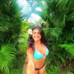 Shenaz Treasurywala Instagram - Good morning! It’s not Hawaii, it’s India 🇮🇳 This morning I’m thinking about choices. Life choices. They define us. I have trouble making choices I have to admit. Especially with where to live and who to be with. When it comes to work or creative decisions I make them fast but for life I take forever. Sometimes I sit on the fence too long and that option just goes away. Also, I think the time I take to decide and contemplate makes me more unhappy. Sometimes no choice is wrong, you just got to pick and stick. Example when I lived in New York I wanted to come back home to india but it took me 3 years to actually make the choice and go for it. Now I feel maybe I should move away from the city but I’m still thinking.... choices!!!! Some people can just decide, others like me - ponder for days and years :) what about you? What do you feel? Do you make decisions easily? #travelwithshenaz #travelhotelsmiles #choices #lifelessonslearned @goproindia