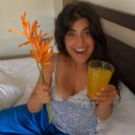 Shenaz Treasurywala Instagram - What’s the best service you’ve got from a hotel? If I had my own #travelwithshenaz chain of hotels, this is how I would take care of the guests ;) #travelwithshenaz #travelhotelsmiles @goproindia #reelitfeelit #travelreel #roomservice