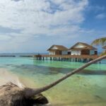 Shivya Pathania Instagram - 🤌❤️🧿🇲🇻 @bandosmaldives Serenity Bandos Maldives