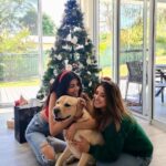 Somi Khan Instagram - Merry Xmas 🎄 from our family to yours 🧑‍🎄❄️ ———————————— . . . #christmas #christmastree #christmasdecor #xmas #merrychristmas #christmastime #love #winter #handmade #natale #christmasgifts #santa #christmasdecorations #christmasiscoming #holidays #holiday #gift #navidad #santaclaus #christmaslights #art #instagood #december #noel #gifts #smallbusiness #family #giftideas #photography #snow