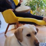 Soumya Seth Instagram - This balmy drum is actually very meditative!! Maggi is in love with it❤️❤️❤️ Great Falls, Virginia