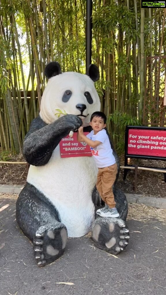 Soumya Seth Instagram - Memorable moments with my little one at Smithsonian National Zoo, creating joyful memories that will last a lifetime! Summer of 2022