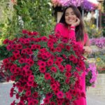 Srishty Rode Instagram – I Choose to have Magic And Miracles In my life 💖
.
.
.
#miraclegarden #dubailife #dubaimiraclegarden #dubai 
@dubaimiraclegarden @lovindubai Dubai Miracle Garden