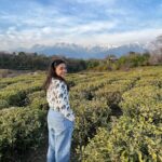 Sumona Chakravarti Instagram - पहाड़ों से बढ़ता प्यार । Part 1 🏔 Beautiful Palampur & Bir 🏔🪂 Thank you @thelodgeatwah for the awesome homestay experience. The food, the bonfire & jenga nights with uncle aunty, the conversations… thank you for the beautiful memories! Thank u Harmit @exsultravel for the mountain jeep safari & fun picnic experience! #HimachalDiaries #incredibleindia #nofilterneeded #gypsysoul #ngtindia #outlooktraveller #desitraveller #wanderlusttravel #indiantourism #travelgram #storiesofindia #indianlandscape #cnntravellerindia #shotoniohone