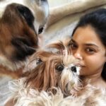 Sumona Chakravarti Instagram - Soaking in furry love thanks to #selfquarantine 🐶💟 . And Dogs do not contract Covid-19. STOP abandoning them. #petsofinstagram #petowner #furryfriends #dogparent #socialdistancing #stayathome @my_bmc @mybmchealthdept @tedthestoner @amtmindia @petaindia
