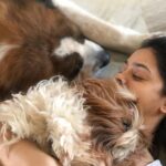 Sumona Chakravarti Instagram - Soaking in furry love thanks to #selfquarantine 🐶💟 . And Dogs do not contract Covid-19. STOP abandoning them. #petsofinstagram #petowner #furryfriends #dogparent #socialdistancing #stayathome @my_bmc @mybmchealthdept @tedthestoner @amtmindia @petaindia