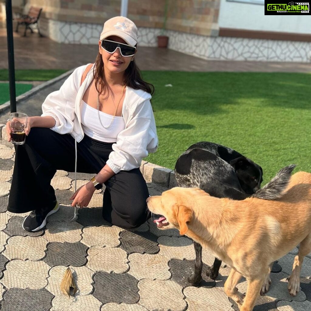 Surbhi Chandna Instagram - This girl has her priorities straight 🐶 #wanttobeadogmom #pets