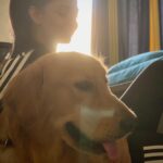 Tanvi Dogra Instagram - Somethings fill your heart without even trying 🐾 Hence life is good but Oscar makes it better 🐶 #oscar #family #pet #love