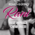 Tina Datta Instagram - Rani left this world but leaving behind a lot of love for Tina!!! Rani came into Tina’s life in 2010 and has been family. And family never truly goes away, they’re with us forever just as Rani, she’s with our Tinzi forever. Dealing with this loss while being inside the house won’t be easy but we know Tina you are strong. May Rani Rest In Peace! @brunoranidatta . . #RestInPeaceRani #TeamTina #TribeTina #TinaInBB #TinaDatta #biggboss #biggboss16 #bb #bb16 #salmankhan #dogsofinstagram #petlove #restinpeace #rip #doglover #pet @voot @vootselect @colorstv @endemolshineind