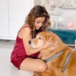 Tina Datta Instagram - Now this one made our hearts melt... Tina and her bond with Rani and Bruno is truly special. @brunoranidatta . . #TeamTina #TribeTina #TinaInBB #TinaDatta #biggboss #biggboss16 #bb #bb16 #salmankhan #feelkaroreelkaro #feelitreelit #reels #reelsinstagram #petlove #petlovers #dogsofinstagram @voot @vootselect @colorstv @endemolshineind