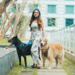 Tina Datta Instagram - It’s not just a mere saying that Dogs are Man’s best friends, but Tinzi has been living by this!! As a pet parent, we wonder how difficult this time is for Tina… Rani and Bruno are one of her greatest strengths as well as weaknesses, they are her support system in this city where she lives alone. And now, locked up inside the house, the days become more challenging as she hears about Rani’s health. As Bigg Boss said, its truly emotional. But our #WarriorPrincess shall rise above these tough days, staying strong and fighting this emotional battle alone! As Tina believes, All’s gonna be well by the day end!! We have the same spirit… More Power and Love to Tinzi from her Team and Tribe!! @brunoranidatta . . 📸: @being_flamingo . . #TeamTina #TribeTina #TinaInBB #TinaDatta #biggboss #biggboss16 #bb #bb16 #salmankhan #pet #petlovers #petsofinstagram #dogsofinstagram #dog @voot @vootselect @colorstv @endemolshineind