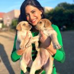 Aahana Kumra Instagram - This is 🐾 love 💕🐶 #throwbackthursday . . . . #puppies #cute #puppylove #puppy #aahanakumra #animallovers #animallover #thursday #thursdaythoughts Nasik Maharashtra