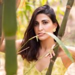 Aahana Kumra Instagram - Summer 🌞🍃 The cattails sway and the bamboo dances gently into the brightness of the day🍃🌞🌿🦚 Photography @yashjangidphotography Styling @abhimanyusinghtomarr Hair & Make up: @omsenmakeup Outfit : @gazalmishraofficial . . . . #photoshoot #jaipur #rajasthan #photography #aahanakumra #wednesday #wedensdaywisdom Jaipur - The pink city