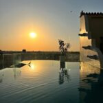 Aahana Kumra Instagram - Sunsets and pools 🌸🌞🫶🏜️🐫🥂🦚👙🌊🏝️🐚 . . . 📍 @narendra.bhawan.bikaner . . #thursday #thurdaythrowback #throwbackthursday #thursdaymotivation #getaway #swimsuit #sunset #pool #poolside #nofilter #sunlover #sunshinegirl #aahanakumra #rajasthan #bikaner Narender Bhavan, Bikaner