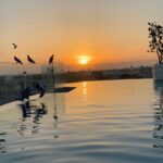 Aahana Kumra Instagram - Sunsets and pools 🌸🌞🫶🏜️🐫🥂🦚👙🌊🏝️🐚 . . . 📍 @narendra.bhawan.bikaner . . #thursday #thurdaythrowback #throwbackthursday #thursdaymotivation #getaway #swimsuit #sunset #pool #poolside #nofilter #sunlover #sunshinegirl #aahanakumra #rajasthan #bikaner Narender Bhavan, Bikaner